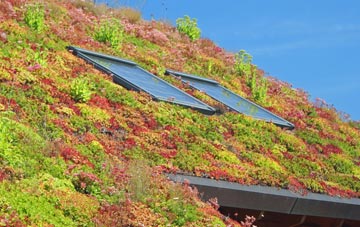 Straiton living roof systems
